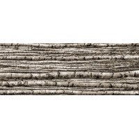 BIRCH dekorační skleněný obklad  4-Elementový 239,8x89,8