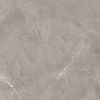 HARMONIC GREY POL 119,8x119,8