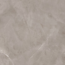 HARMONIC GREY POL 119,8x119,8