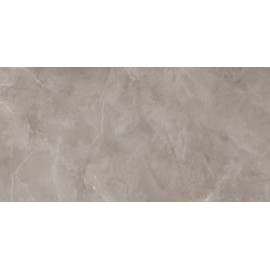 HARMONIC GREY POL 119,8x59,8