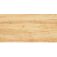 INPOINT obklad 59,8x29,8