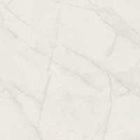 ONIX PEARL POL 119,8x119,8