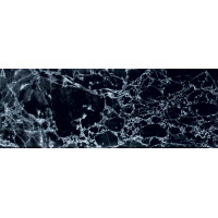 Skleněný dekor SOPHISTICATED BLACK 89,8x32,8cm