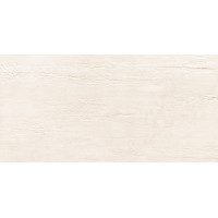 TERRAFORM STR obklad 59,8x29,8