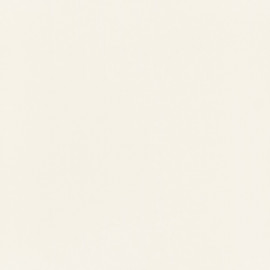 UNIT PLUS WHITE 59,8x59,8