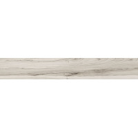 WOOD LAND GREY 119,8x19,0