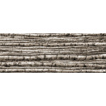BIRCH dekorační skleněný obklad  4-Elementový 239,8x89,8
