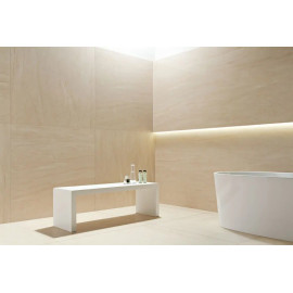 FAIR BEIGE MAT 119,8x59,8