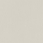 INDUSTRIO LIGHT GREY 59,8x59,8