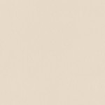 INDUSTRIO IVORY 119,8x119,8